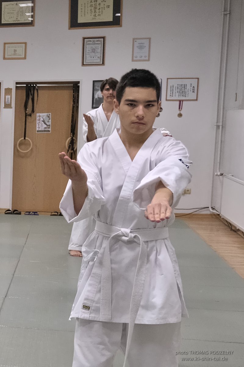 100 Karate Kata Challenge 2022