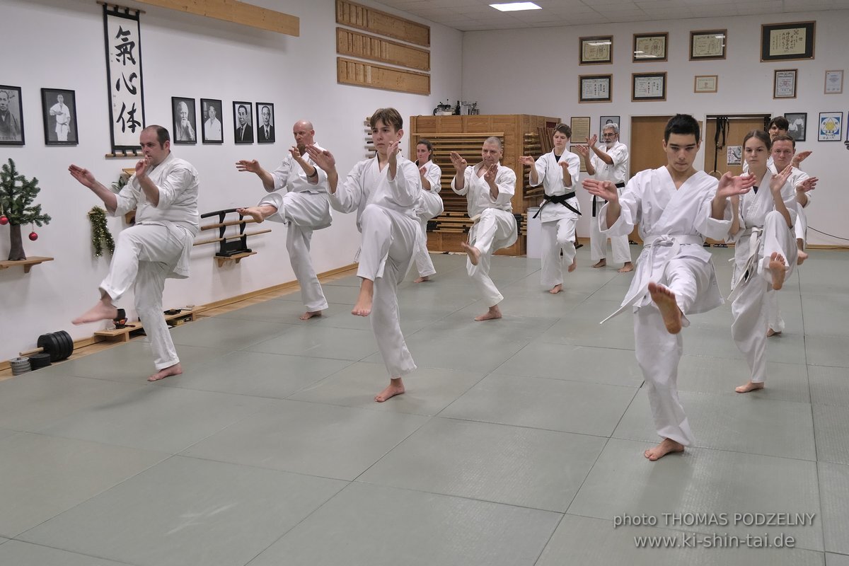 100 Karate Kata Challenge 2022