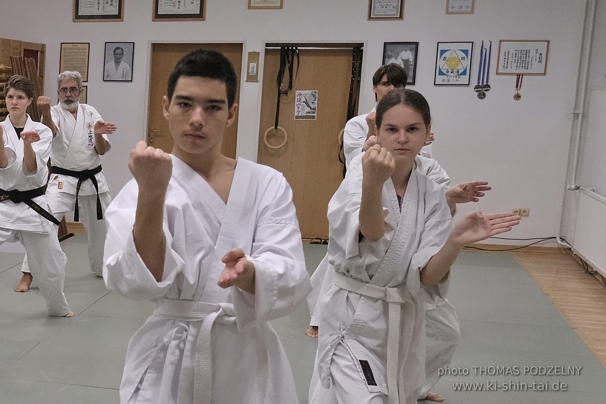 100 Karate Kata Challenge 2022