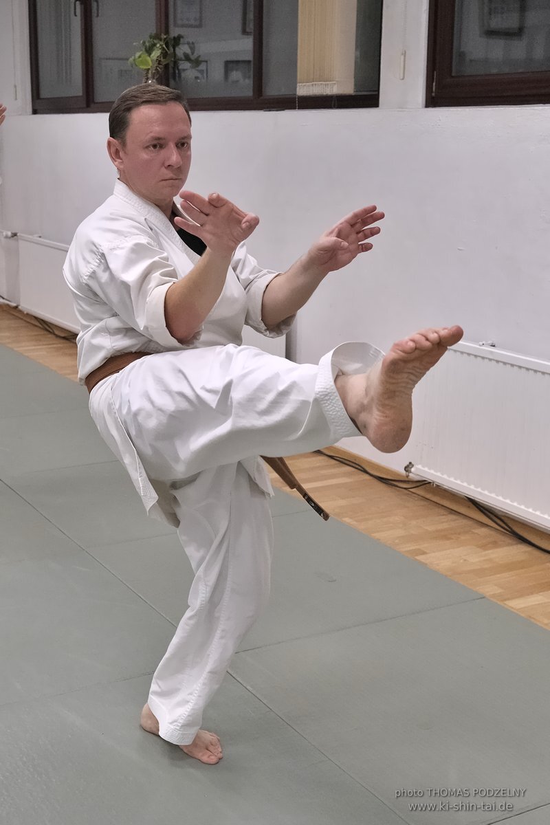 100 Karate Kata Challenge 2022