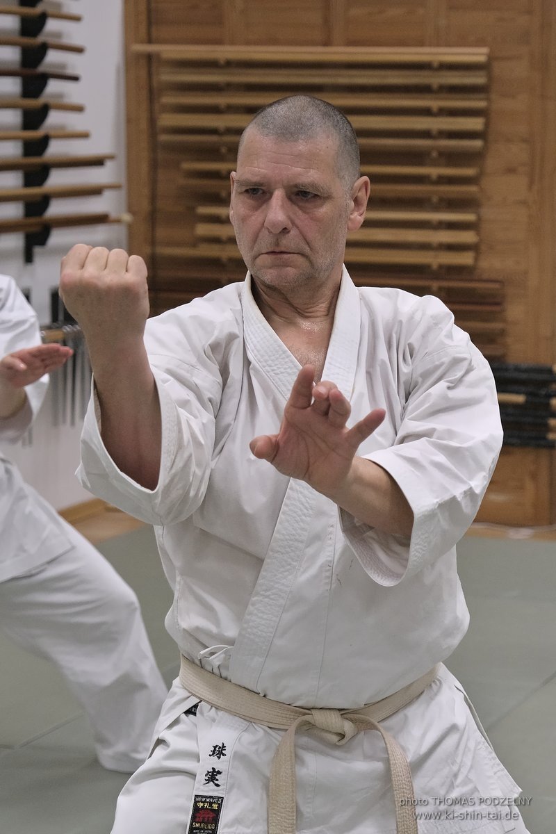 100 Karate Kata Challenge 2022