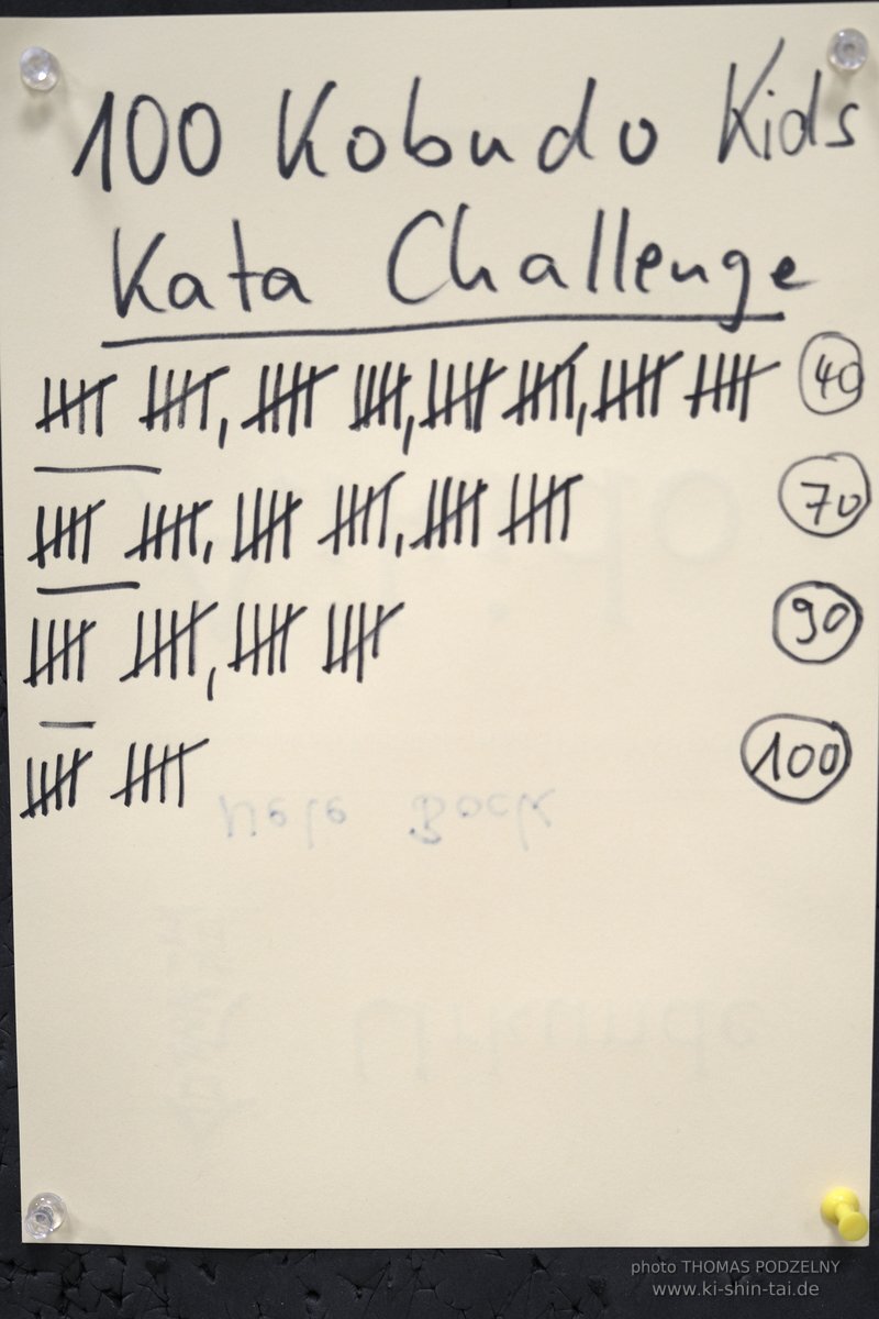 100 Kobudo Kata Challenge 2022