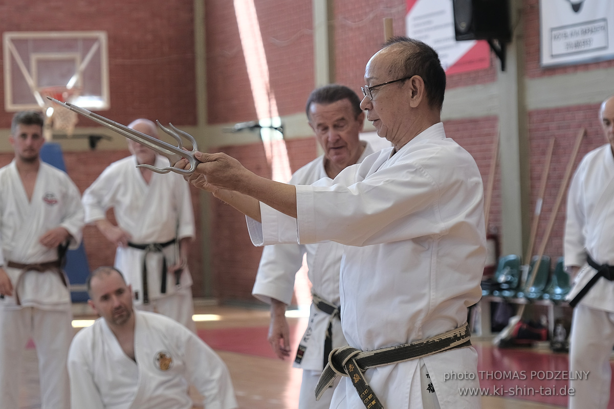 Ryûkyû Kobudô Lehrgang mit Kaichô Hiroshi Akamine in Athen 4.-6.7.2025