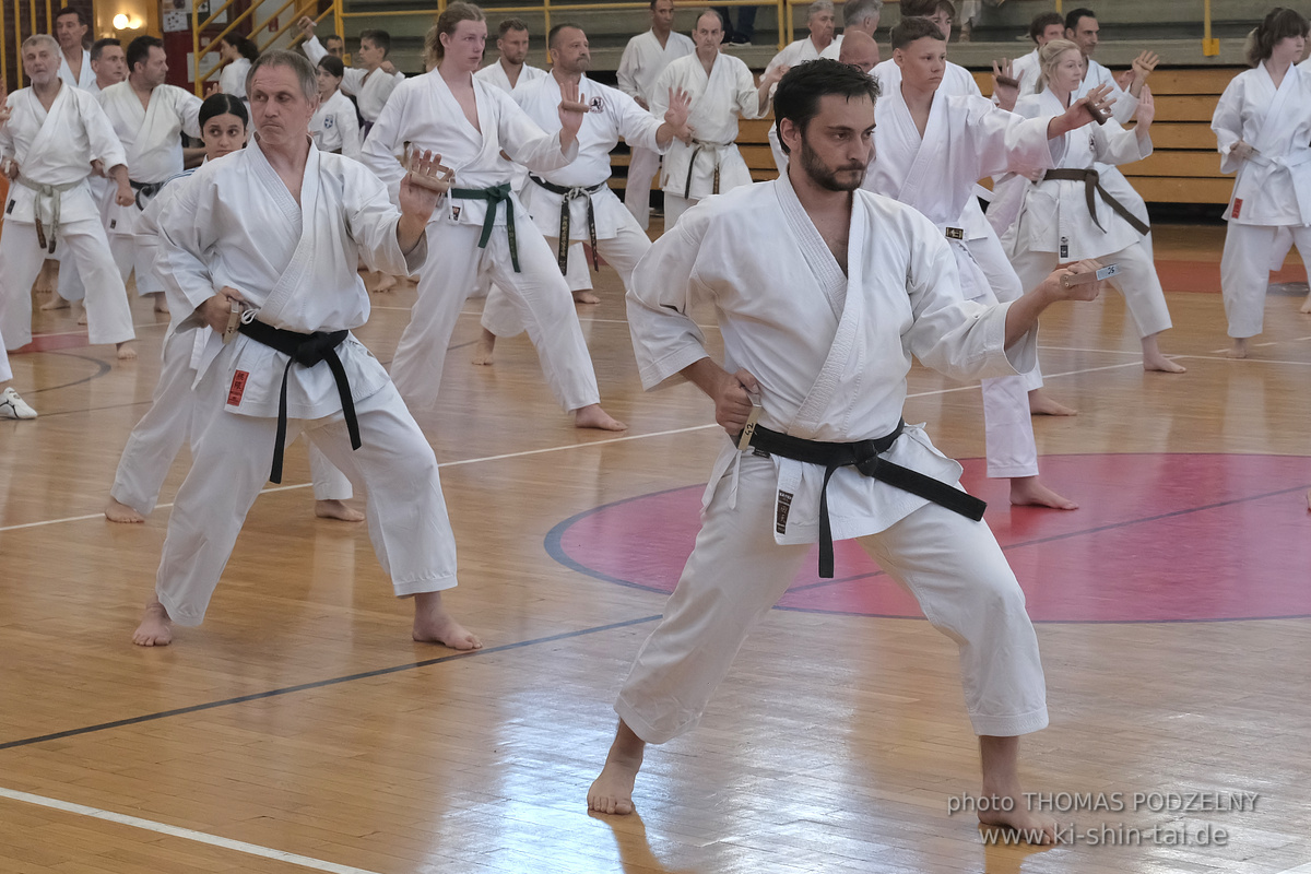 Ryûkyû Kobudô Lehrgang mit Kaichô Hiroshi Akamine in Athen 4.-6.7.2025