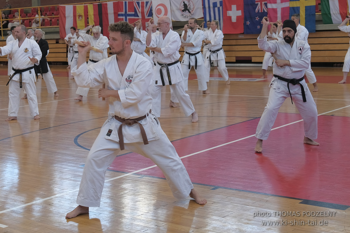 Ryûkyû Kobudô Lehrgang mit Kaichô Hiroshi Akamine in Athen 4.-6.7.2025