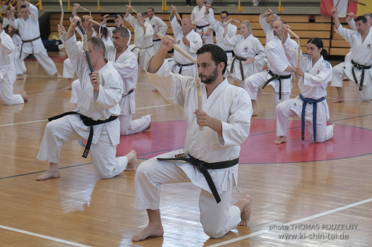 Ryûkyû Kobudô Lehrgang mit Kaichô Hiroshi Akamine in Athen 4.-6.7.2025
