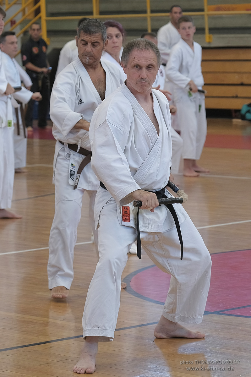 Ryûkyû Kobudô Lehrgang mit Kaichô Hiroshi Akamine in Athen 4.-6.7.2025