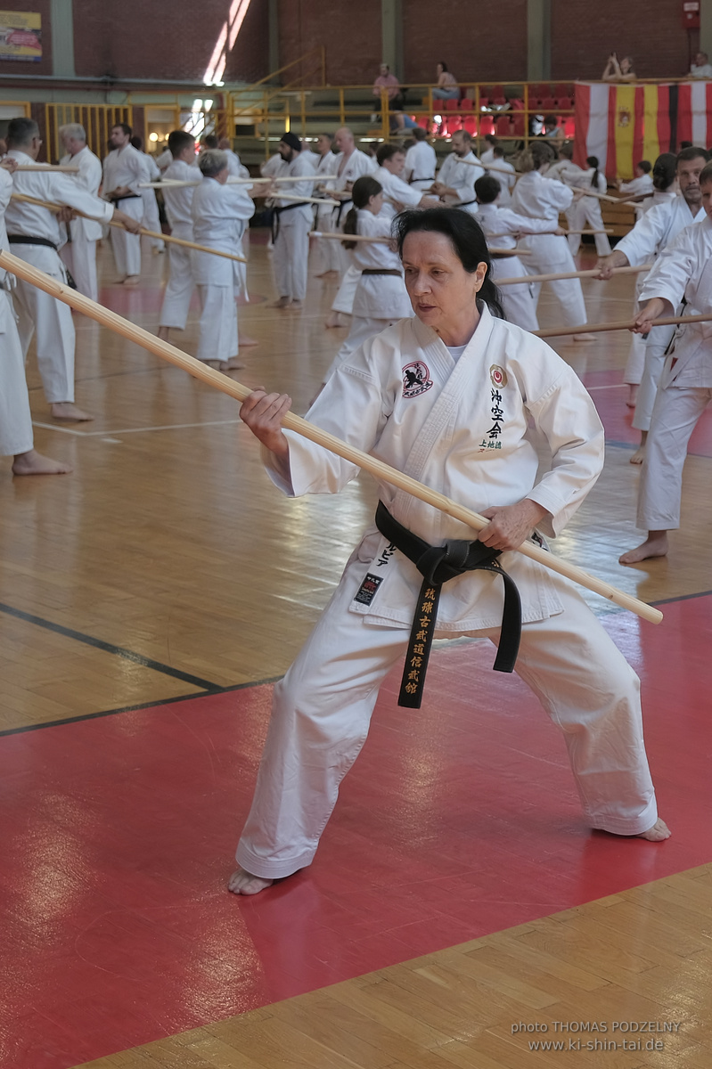 Ryûkyû Kobudô Lehrgang mit Kaichô Hiroshi Akamine in Athen 4.-6.7.2025