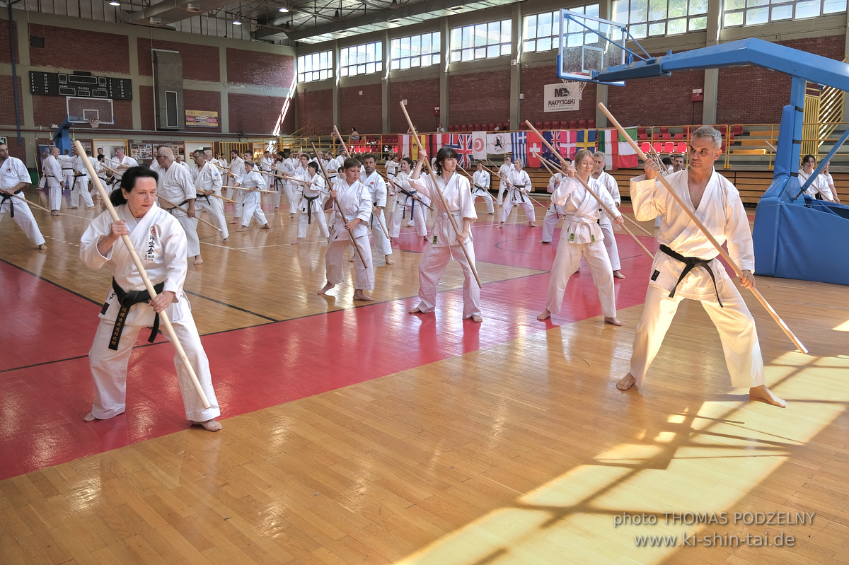 Ryûkyû Kobudô Lehrgang mit Kaichô Hiroshi Akamine in Athen 4.-6.7.2025