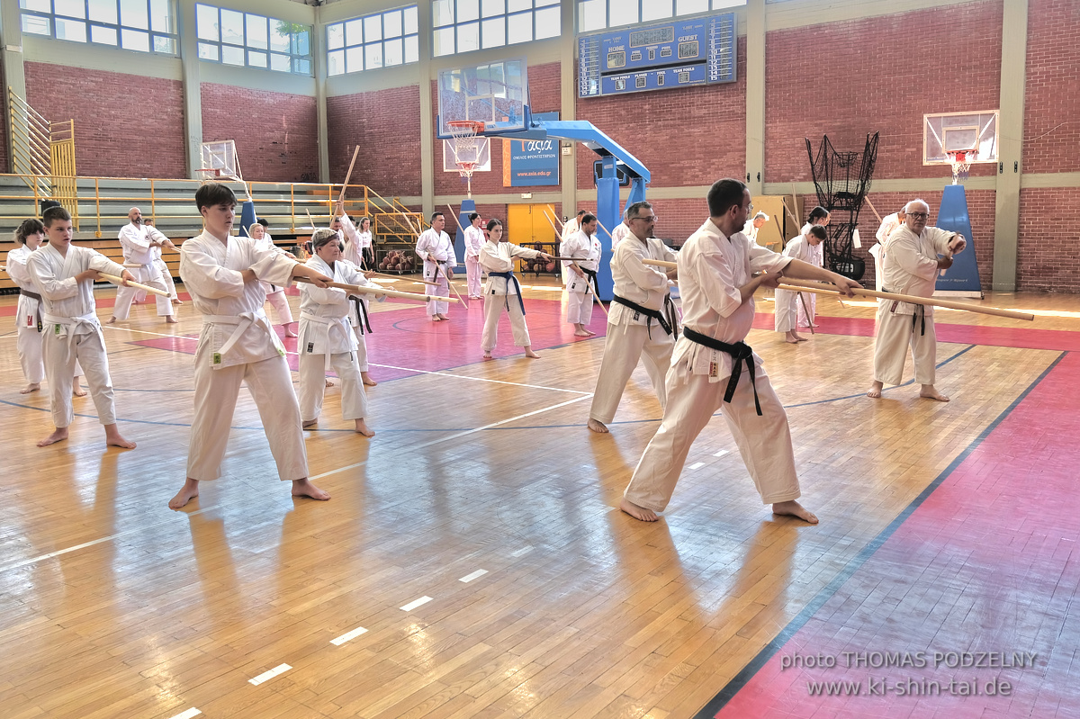 Ryûkyû Kobudô Lehrgang mit Kaichô Hiroshi Akamine in Athen 4.-6.7.2025