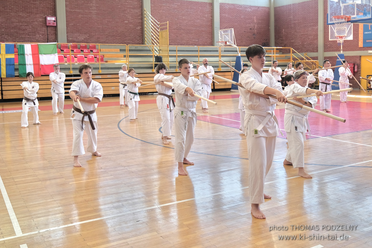 Ryûkyû Kobudô Lehrgang mit Kaichô Hiroshi Akamine in Athen 4.-6.7.2025