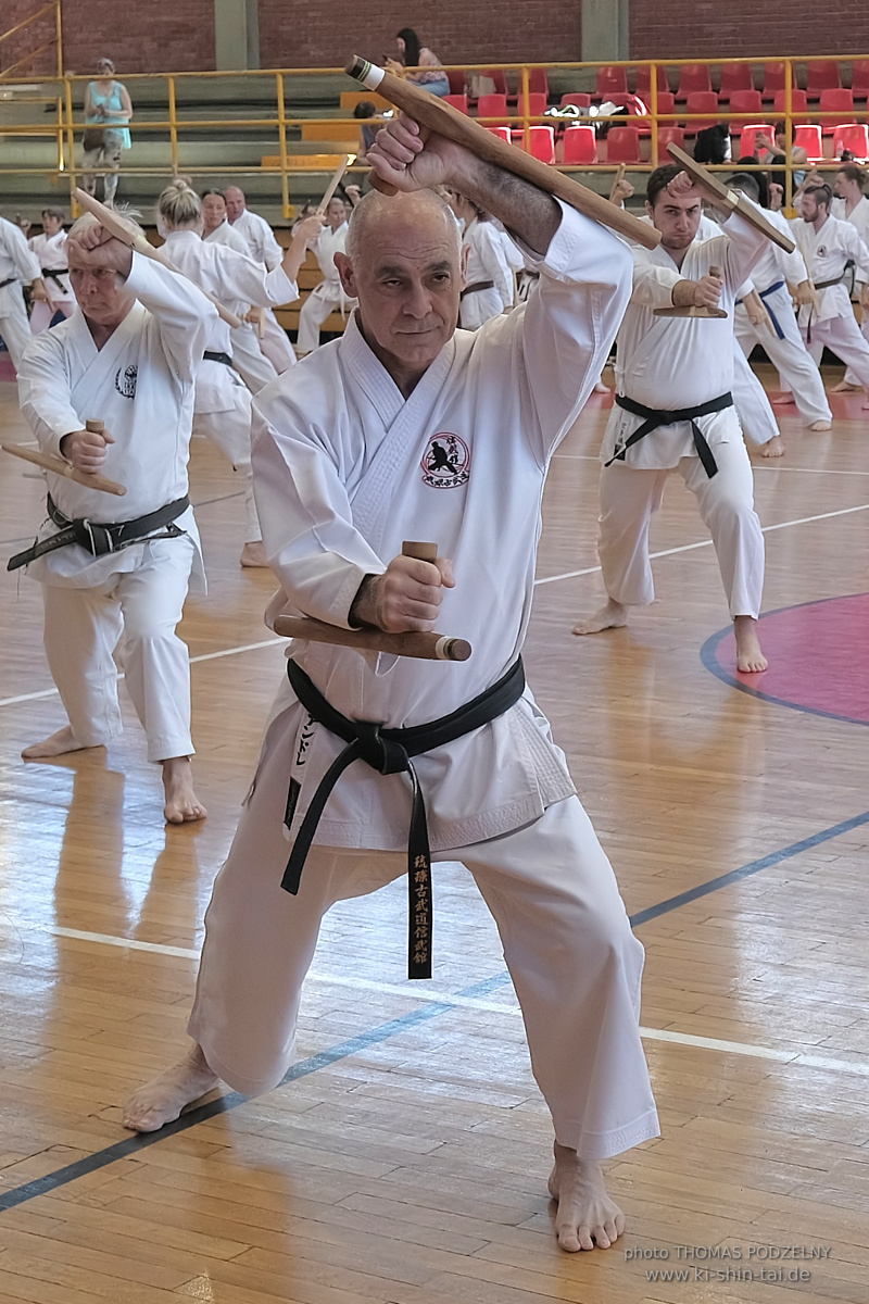 Ryûkyû Kobudô Lehrgang mit Kaichô Hiroshi Akamine in Athen 4.-6.7.2025