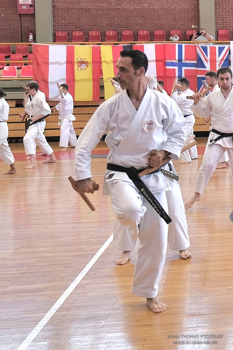 Ryûkyû Kobudô Lehrgang mit Kaichô Hiroshi Akamine in Athen 4.-6.7.2025
