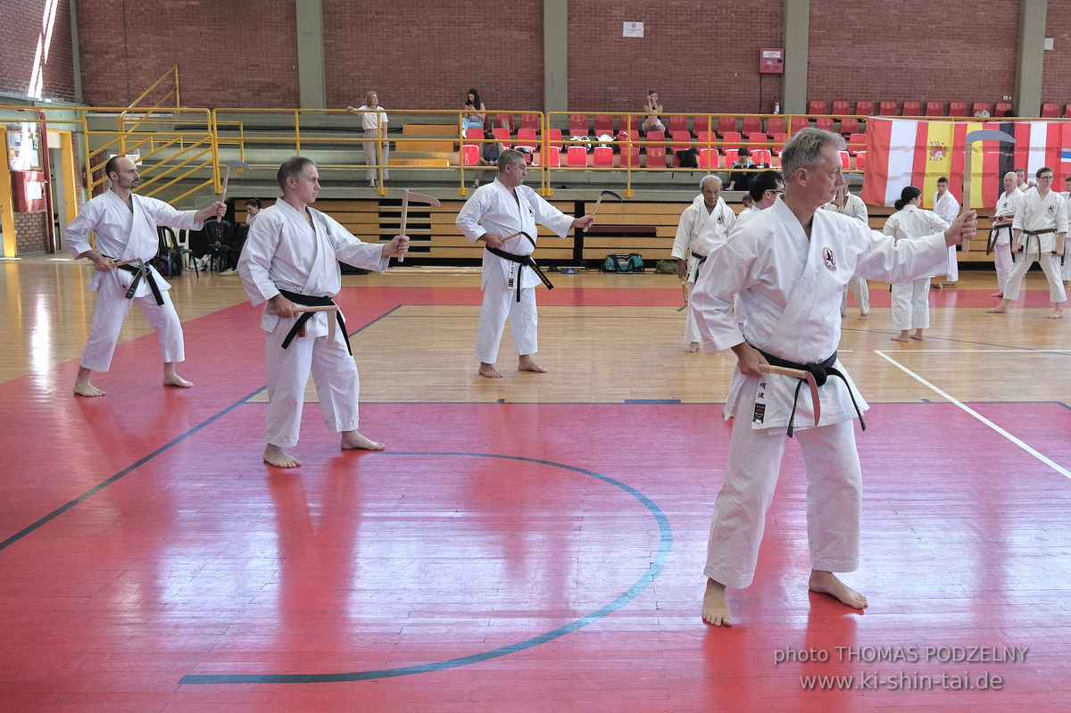 Ryûkyû Kobudô Lehrgang mit Kaichô Hiroshi Akamine in Athen 4.-6.7.2025