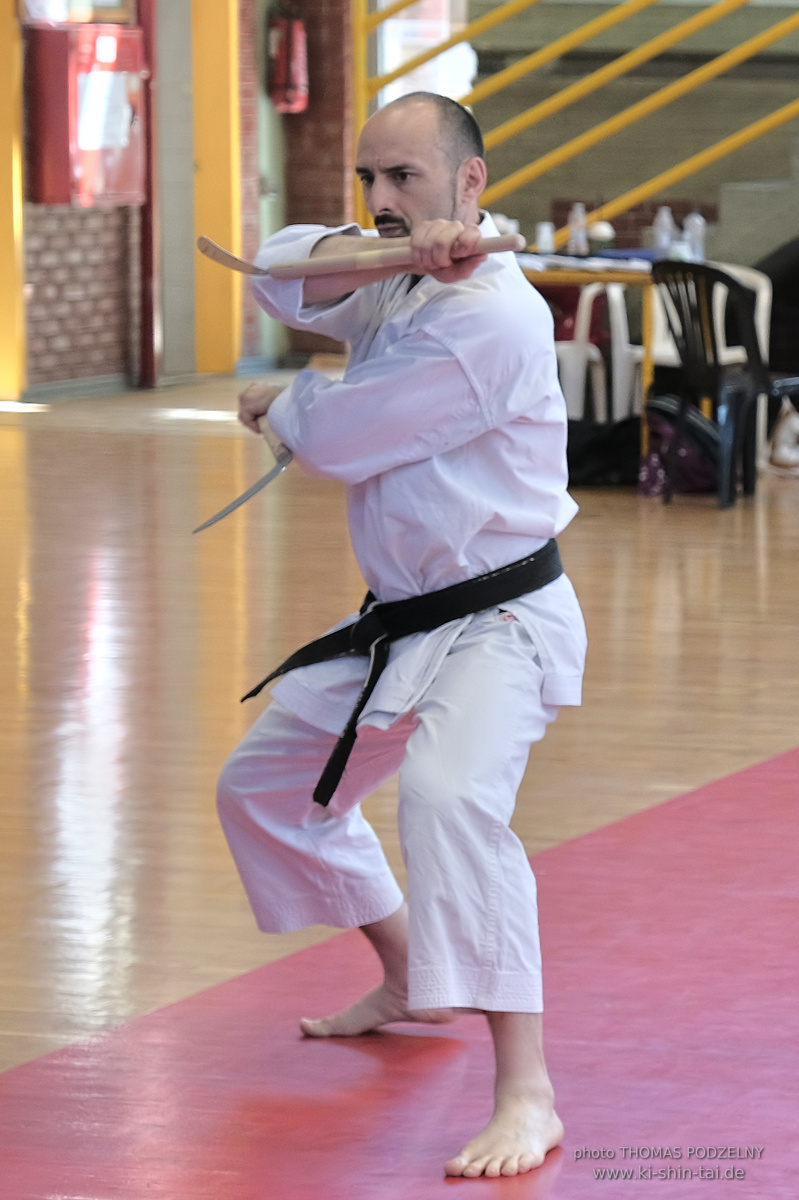Ryûkyû Kobudô Lehrgang mit Kaichô Hiroshi Akamine in Athen 4.-6.7.2025
