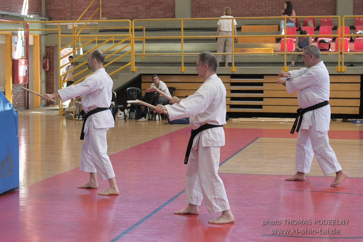 Ryûkyû Kobudô Lehrgang mit Kaichô Hiroshi Akamine in Athen 4.-6.7.2025