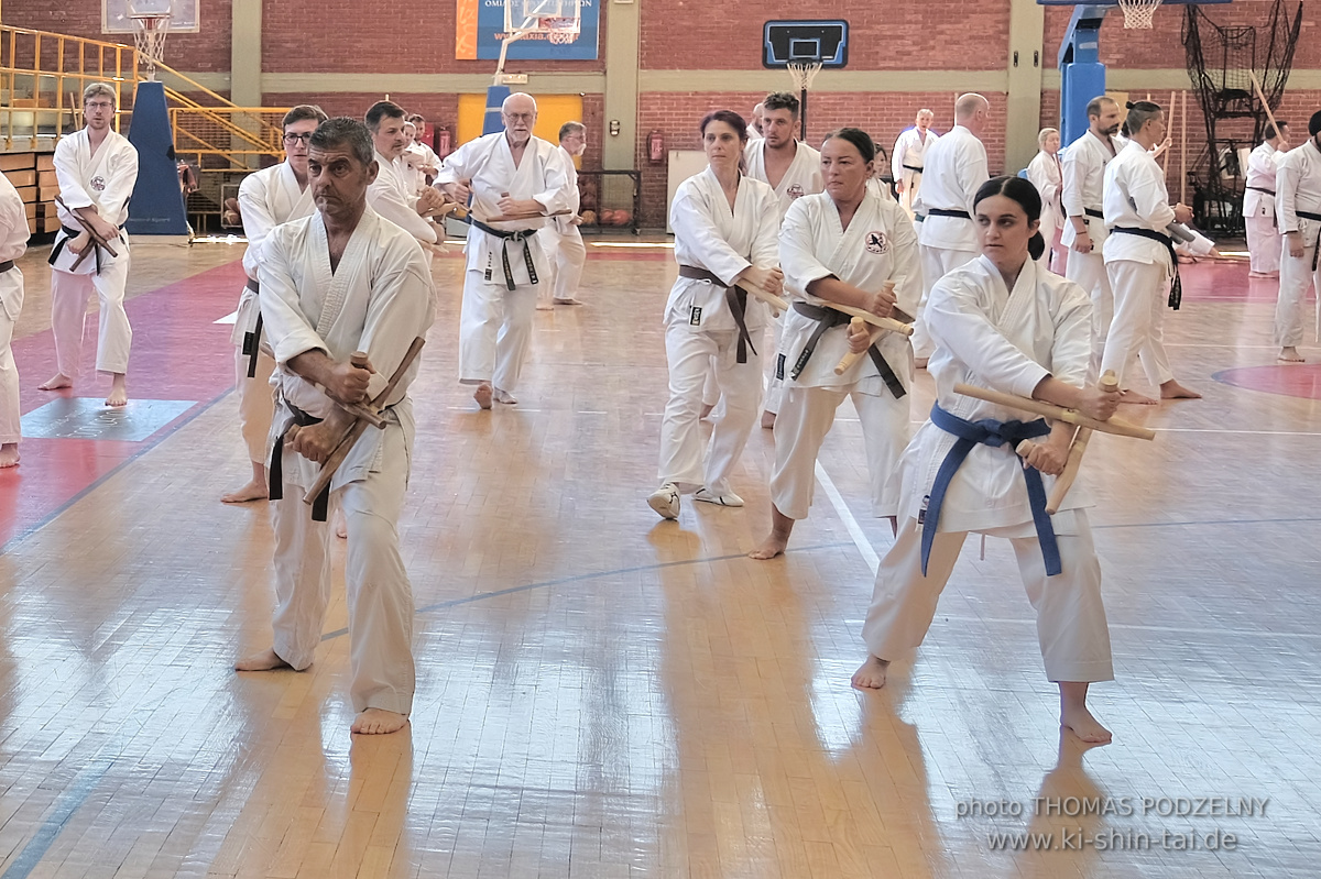Ryûkyû Kobudô Lehrgang mit Kaichô Hiroshi Akamine in Athen 4.-6.7.2025