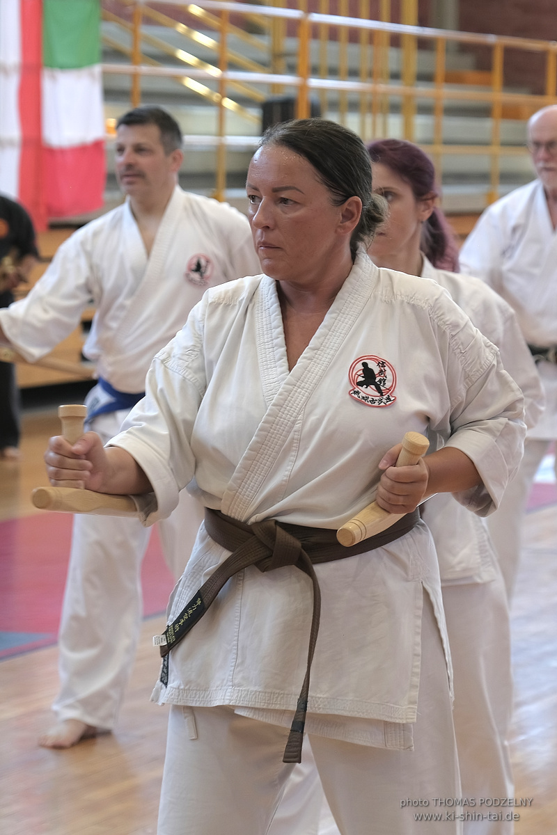 Ryûkyû Kobudô Lehrgang mit Kaichô Hiroshi Akamine in Athen 4.-6.7.2025