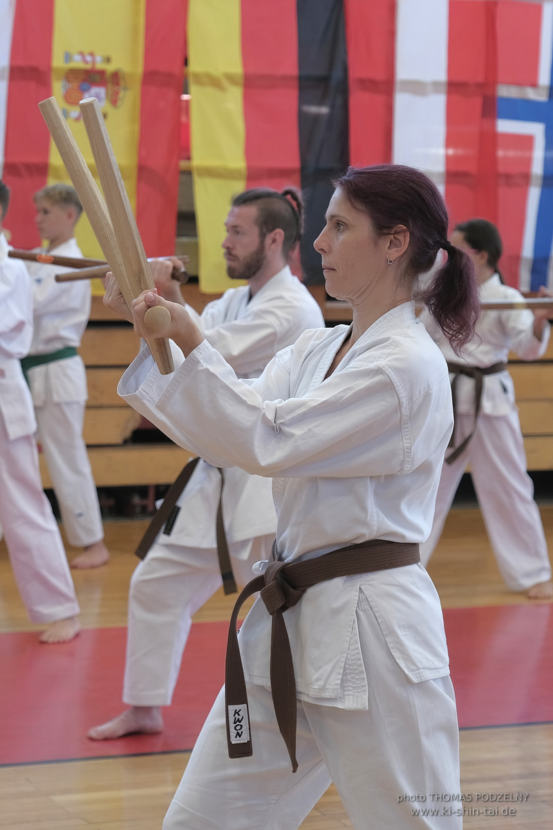 Ryûkyû Kobudô Lehrgang mit Kaichô Hiroshi Akamine in Athen 4.-6.7.2025