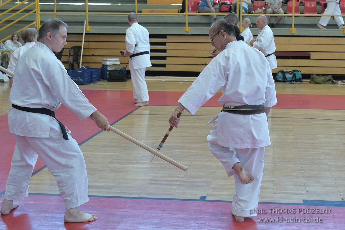 Ryûkyû Kobudô Lehrgang mit Kaichô Hiroshi Akamine in Athen 4.-6.7.2025
