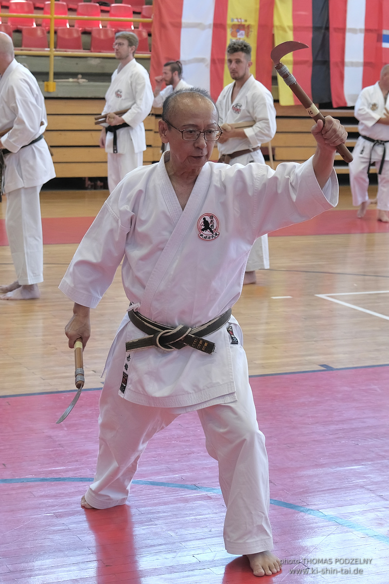Ryûkyû Kobudô Lehrgang mit Kaichô Hiroshi Akamine in Athen 4.-6.7.2025
