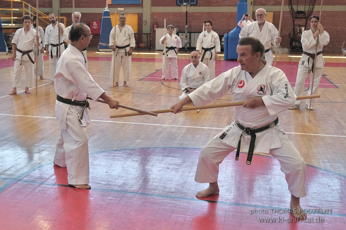 Ryûkyû Kobudô Lehrgang mit Kaichô Hiroshi Akamine in Athen 4.-6.7.2025