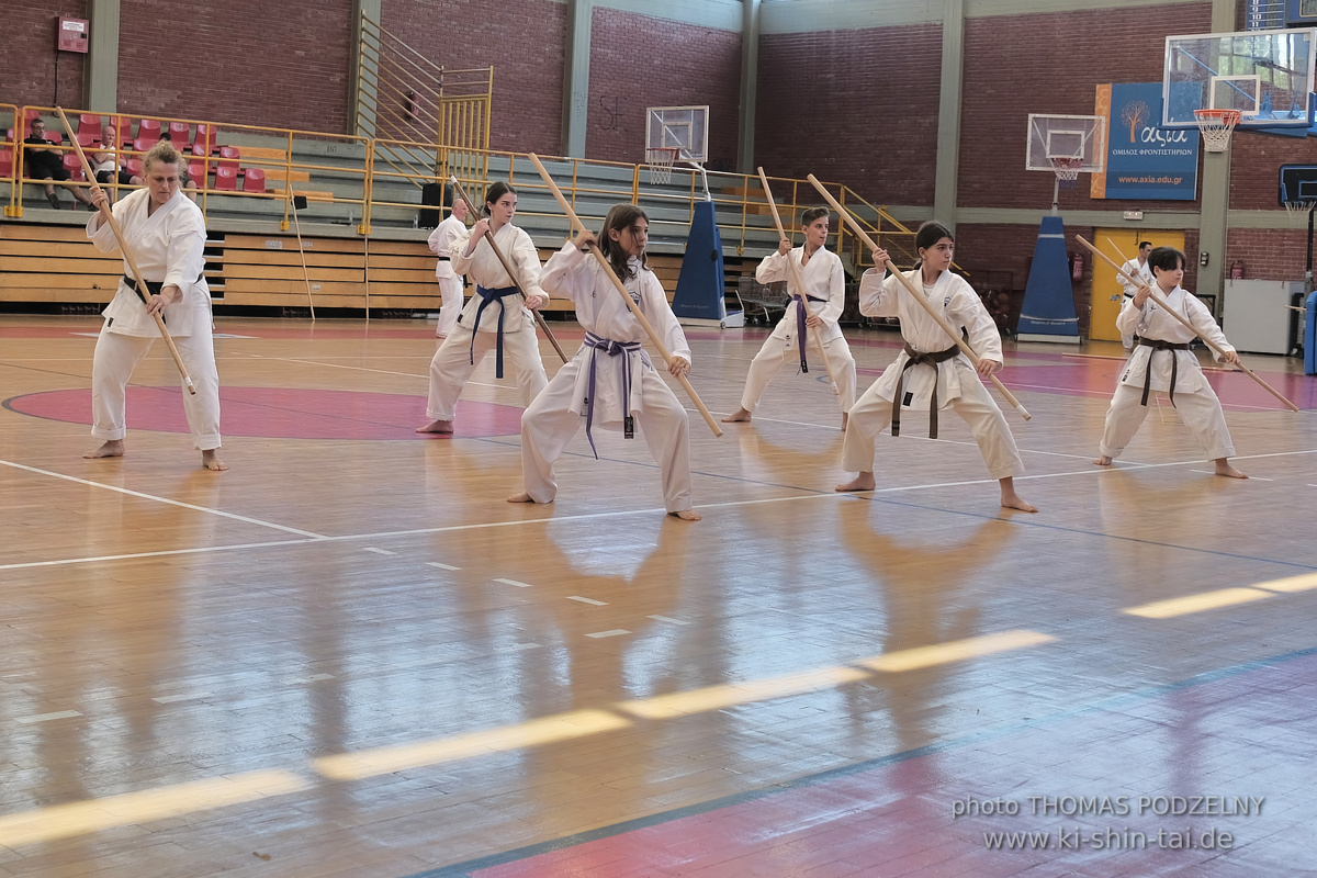 Ryûkyû Kobudô Lehrgang mit Kaichô Hiroshi Akamine in Athen 4.-6.7.2025