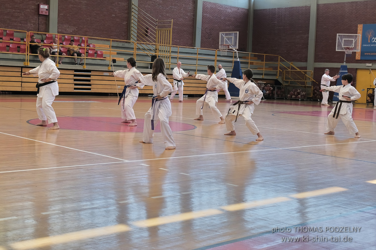 Ryûkyû Kobudô Lehrgang mit Kaichô Hiroshi Akamine in Athen 4.-6.7.2025