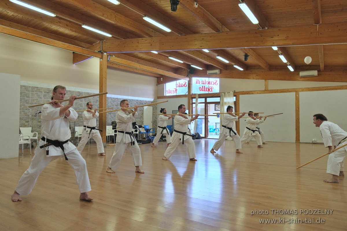 Ryukyu Kobudo Lehrgang Hiroshi Akamine Hanshi 9.Dan - Rom - 3.-5.3.2023