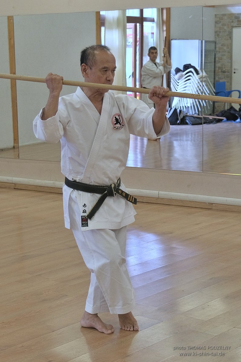 Ryukyu Kobudo Lehrgang Hiroshi Akamine Hanshi 9.Dan - Rom - 3.-5.3.2023