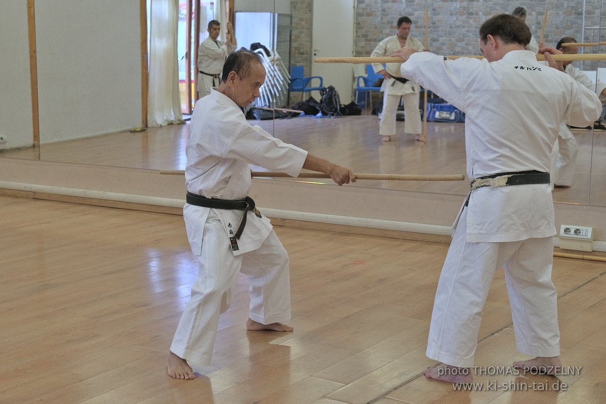 Ryukyu Kobudo Lehrgang Hiroshi Akamine Hanshi 9.Dan - Rom - 3.-5.3.2023