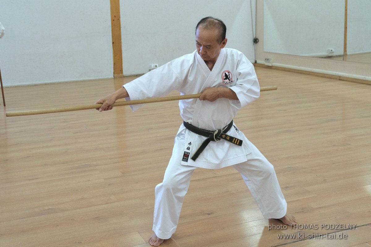 Ryukyu Kobudo Lehrgang Hiroshi Akamine Hanshi 9.Dan - Rom - 3.-5.3.2023