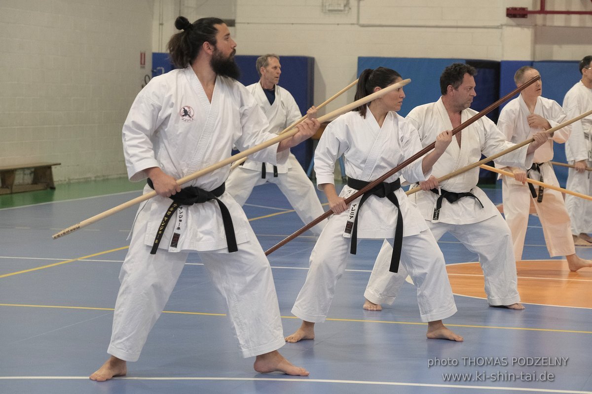 Ryukyu Kobudo Lehrgang Hiroshi Akamine Hanshi 9.Dan - Rom - 3.-5.3.2023