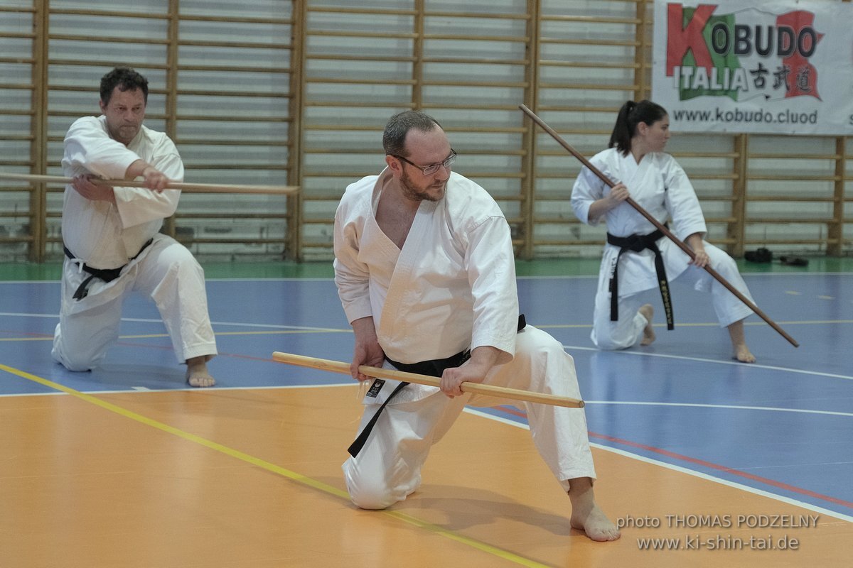 Ryukyu Kobudo Lehrgang Hiroshi Akamine Hanshi 9.Dan - Rom - 3.-5.3.2023