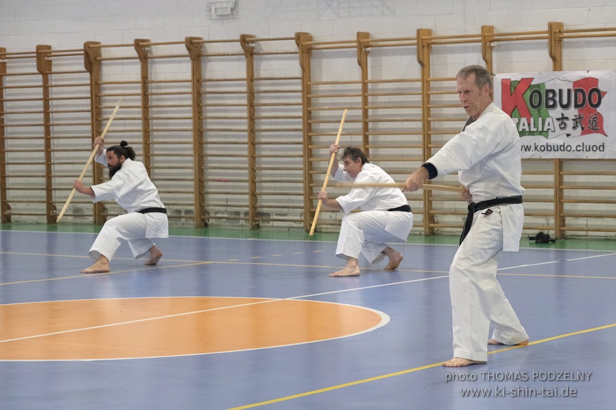 Ryukyu Kobudo Lehrgang Hiroshi Akamine Hanshi 9.Dan - Rom - 3.-5.3.2023