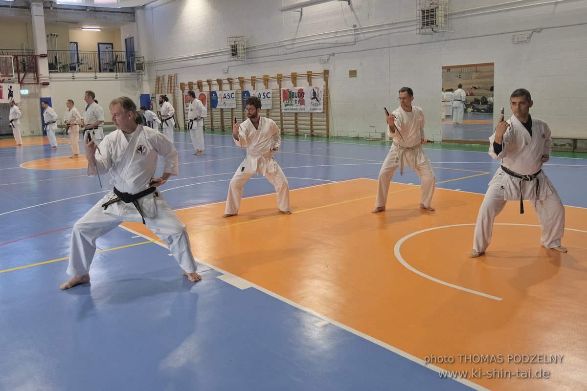 Ryukyu Kobudo Lehrgang Hiroshi Akamine Hanshi 9.Dan - Rom - 3.-5.3.2023