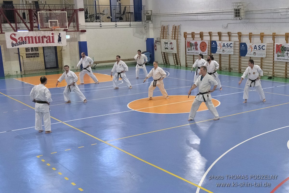 Ryukyu Kobudo Lehrgang Hiroshi Akamine Hanshi 9.Dan - Rom - 3.-5.3.2023