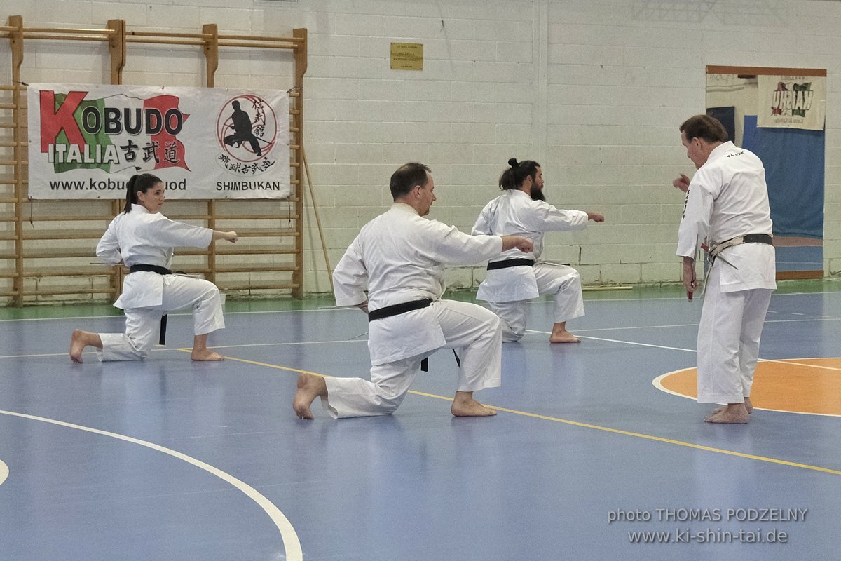 Ryukyu Kobudo Lehrgang Hiroshi Akamine Hanshi 9.Dan - Rom - 3.-5.3.2023