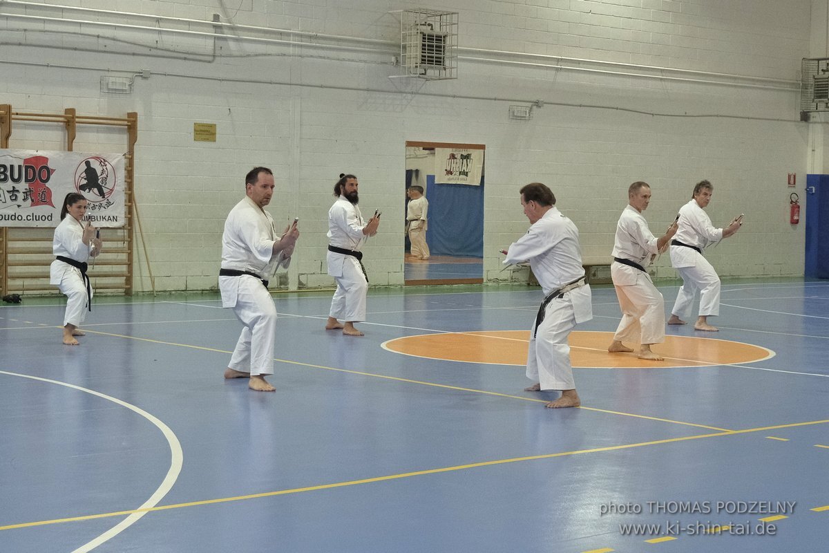 Ryukyu Kobudo Lehrgang Hiroshi Akamine Hanshi 9.Dan - Rom - 3.-5.3.2023