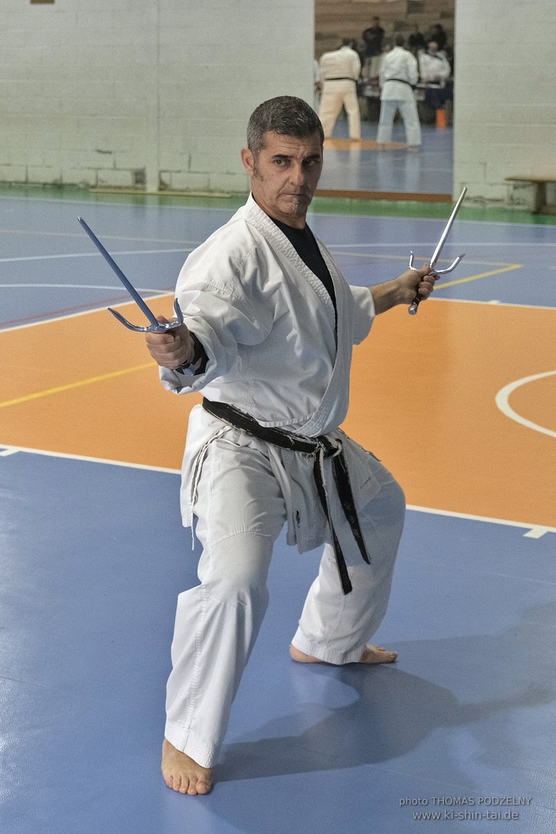 Ryukyu Kobudo Lehrgang Hiroshi Akamine Hanshi 9.Dan - Rom - 3.-5.3.2023