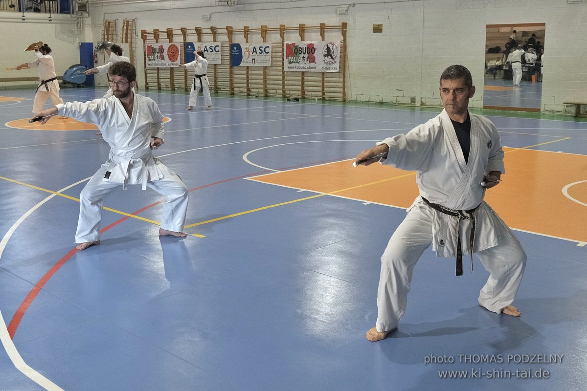 Ryukyu Kobudo Lehrgang Hiroshi Akamine Hanshi 9.Dan - Rom - 3.-5.3.2023