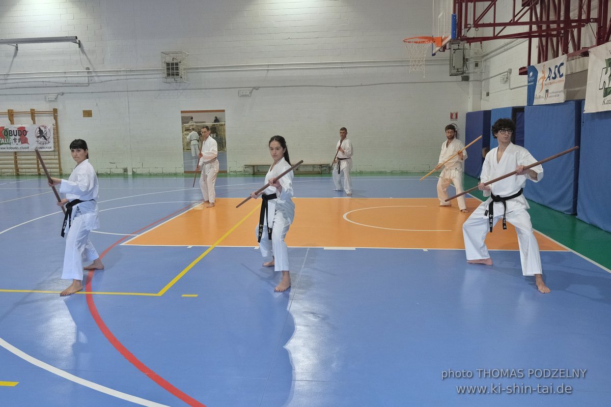 Ryukyu Kobudo Lehrgang Hiroshi Akamine Hanshi 9.Dan - Rom - 3.-5.3.2023