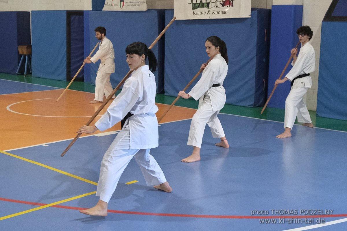 Ryukyu Kobudo Lehrgang Hiroshi Akamine Hanshi 9.Dan - Rom - 3.-5.3.2023