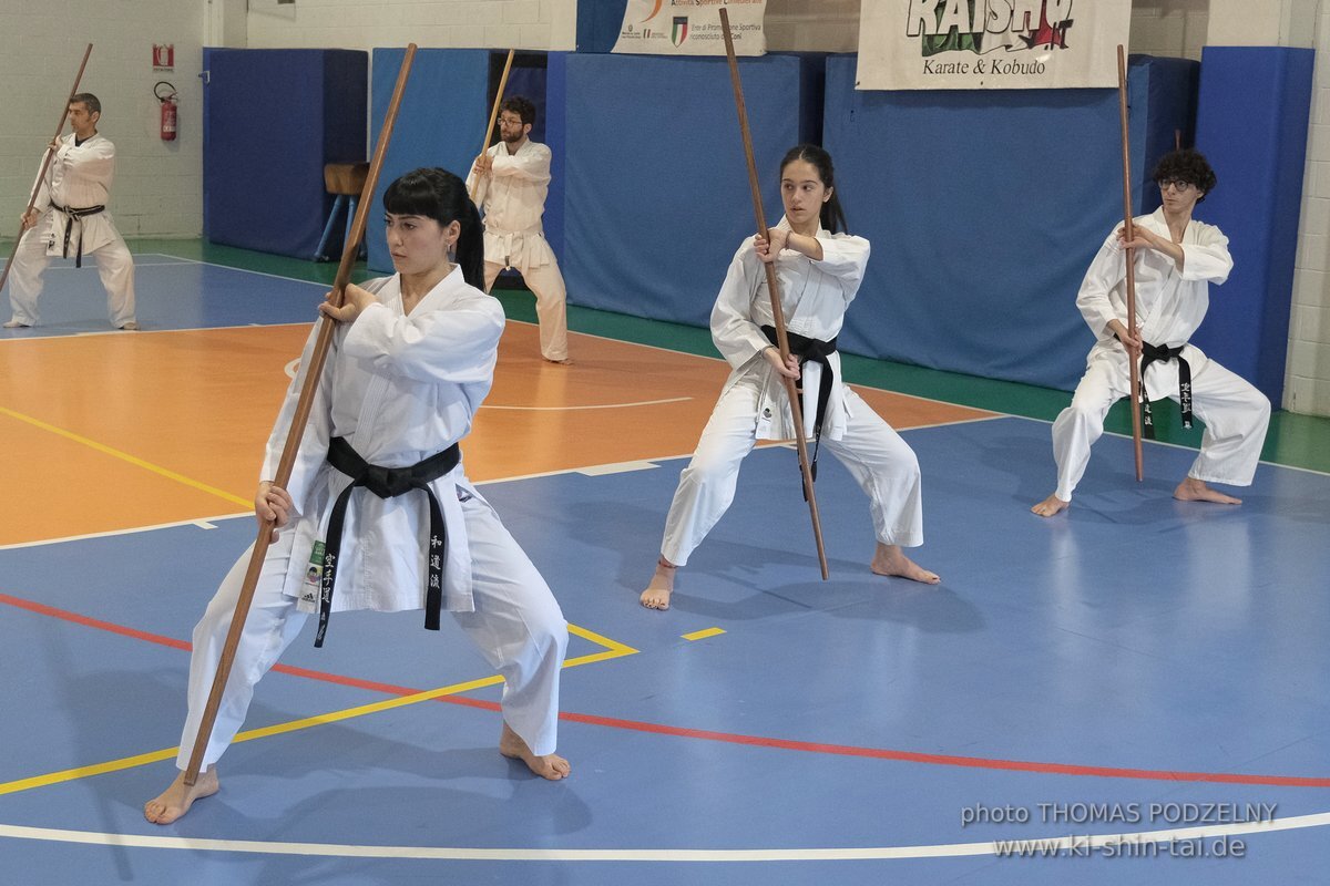 Ryukyu Kobudo Lehrgang Hiroshi Akamine Hanshi 9.Dan - Rom - 3.-5.3.2023