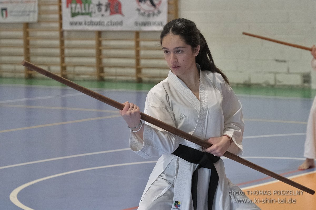 Ryukyu Kobudo Lehrgang Hiroshi Akamine Hanshi 9.Dan - Rom - 3.-5.3.2023