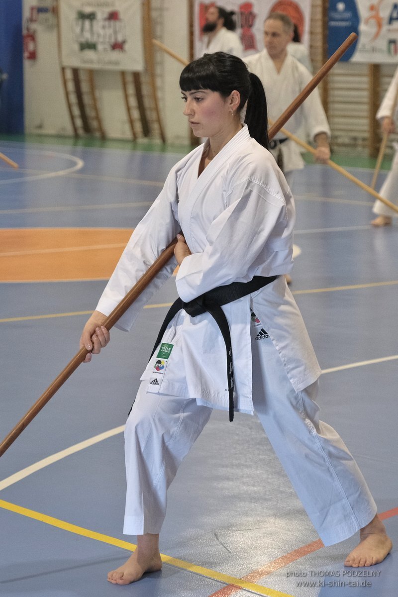 Ryukyu Kobudo Lehrgang Hiroshi Akamine Hanshi 9.Dan - Rom - 3.-5.3.2023