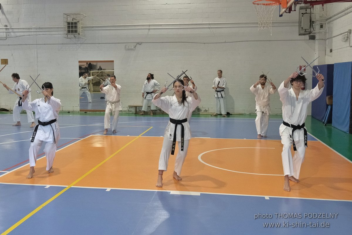 Ryukyu Kobudo Lehrgang Hiroshi Akamine Hanshi 9.Dan - Rom - 3.-5.3.2023