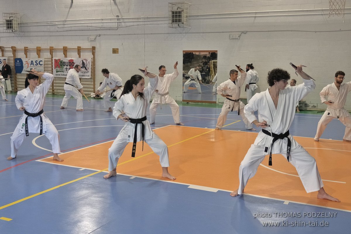 Ryukyu Kobudo Lehrgang Hiroshi Akamine Hanshi 9.Dan - Rom - 3.-5.3.2023