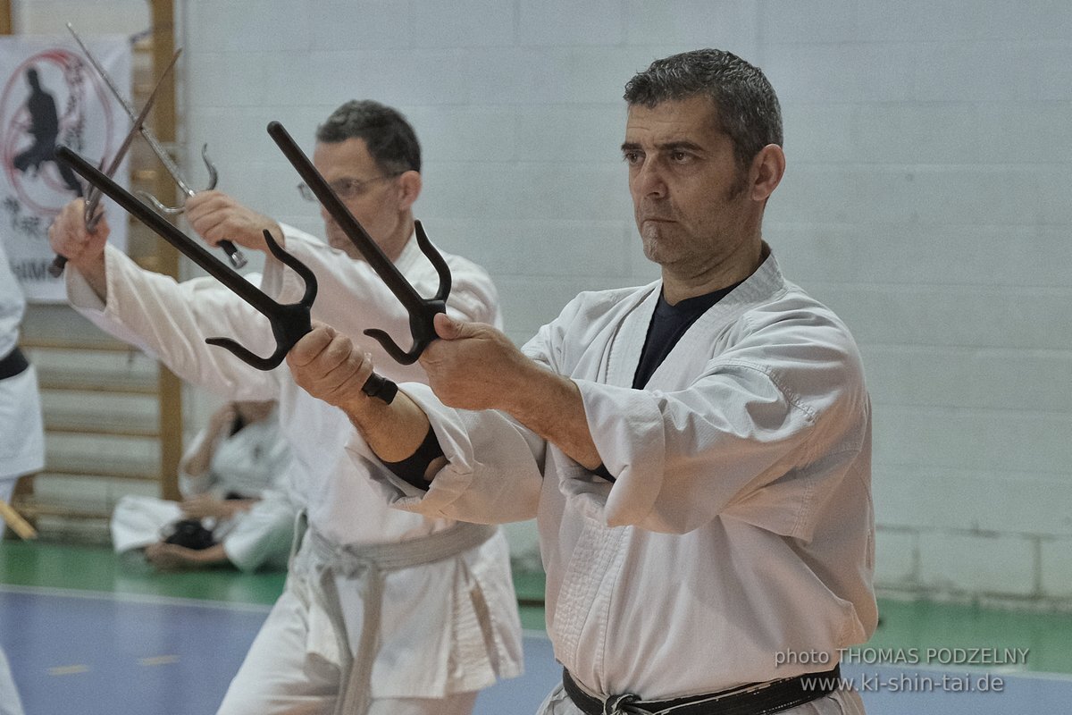 Ryukyu Kobudo Lehrgang Hiroshi Akamine Hanshi 9.Dan - Rom - 3.-5.3.2023