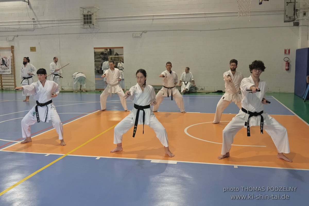 Ryukyu Kobudo Lehrgang Hiroshi Akamine Hanshi 9.Dan - Rom - 3.-5.3.2023